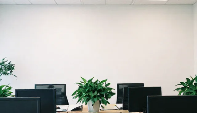 用户参与如何影响网络工程的使用效果